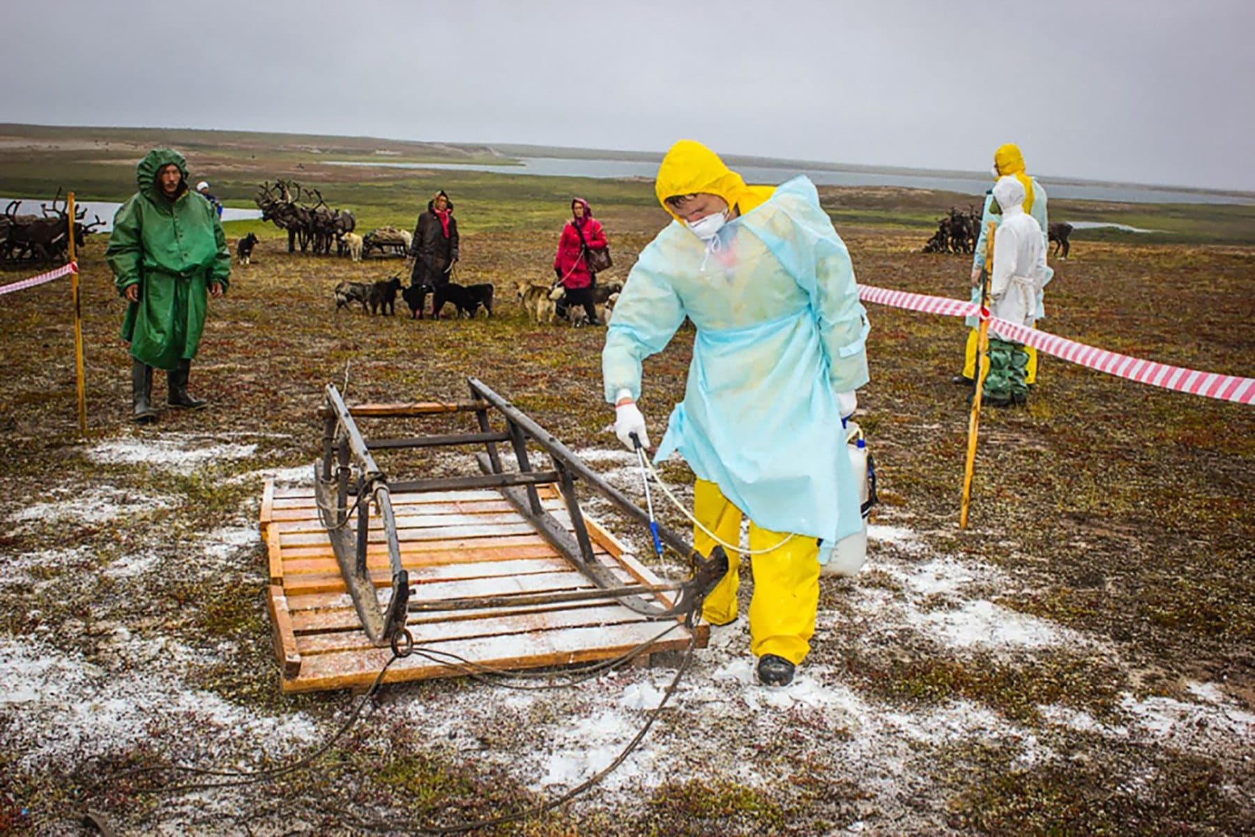 https://ojoalclima.com/articles/en-siberia-virus-y-bacterias-esperan-la-hora-del-deshielo-por-calentamiento-global